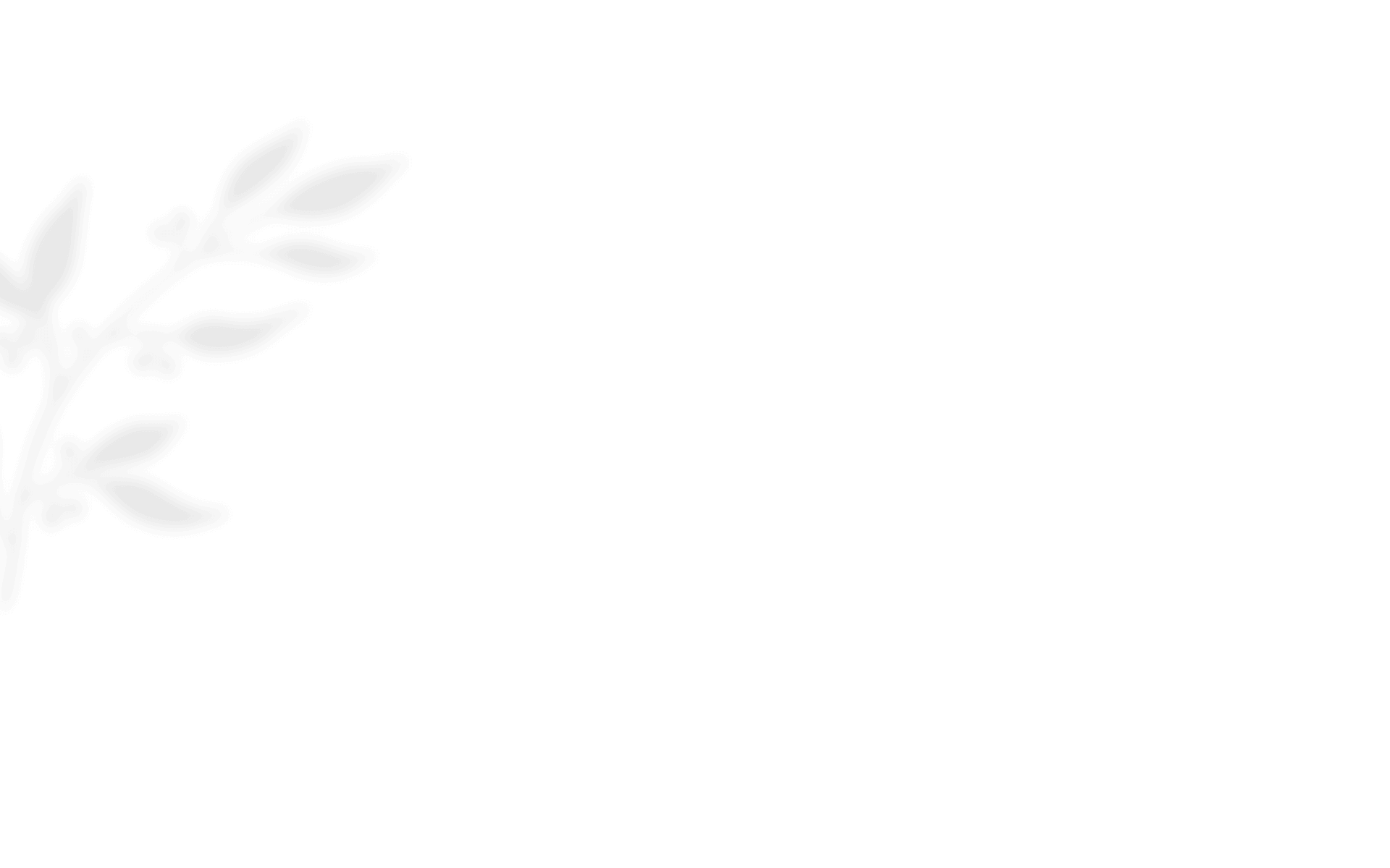 https://test.ollomolaudiovisual.com/wp-content/uploads/2020/12/shadow_leaves_01.png