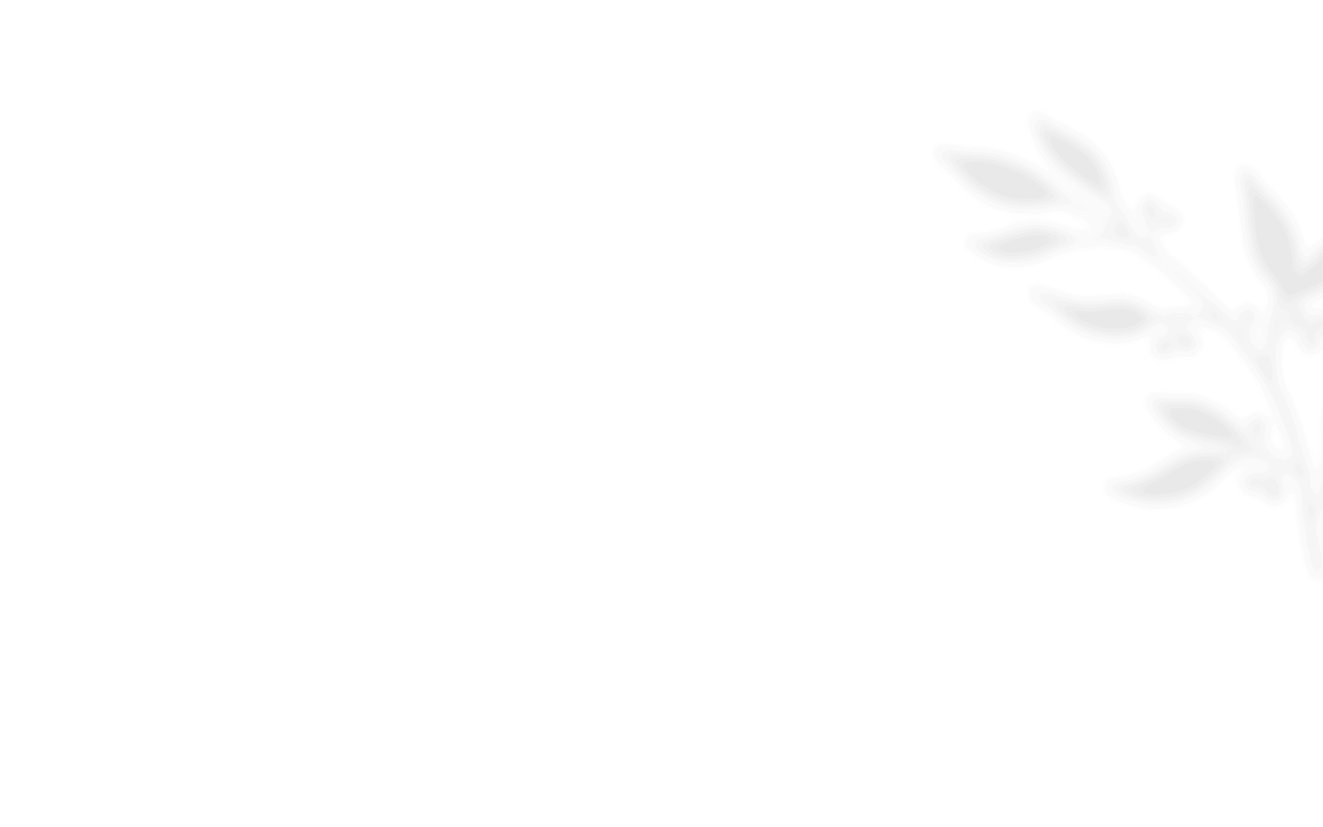 https://test.ollomolaudiovisual.com/wp-content/uploads/2021/01/shadow_leaves_08.png